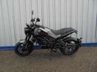 BENELLI LEONCINO