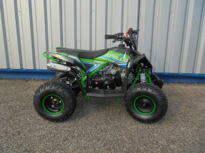 APOLLO MOTORS FOX 110