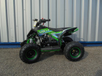 APOLLO MOTORS FOX 110